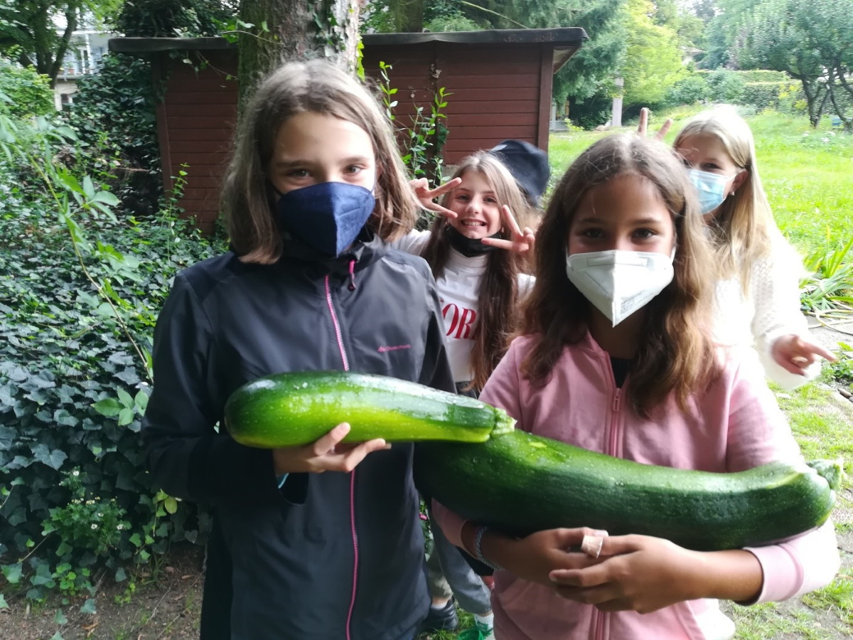 Mehr über den Artikel erfahren Ab in den Schulgarten
