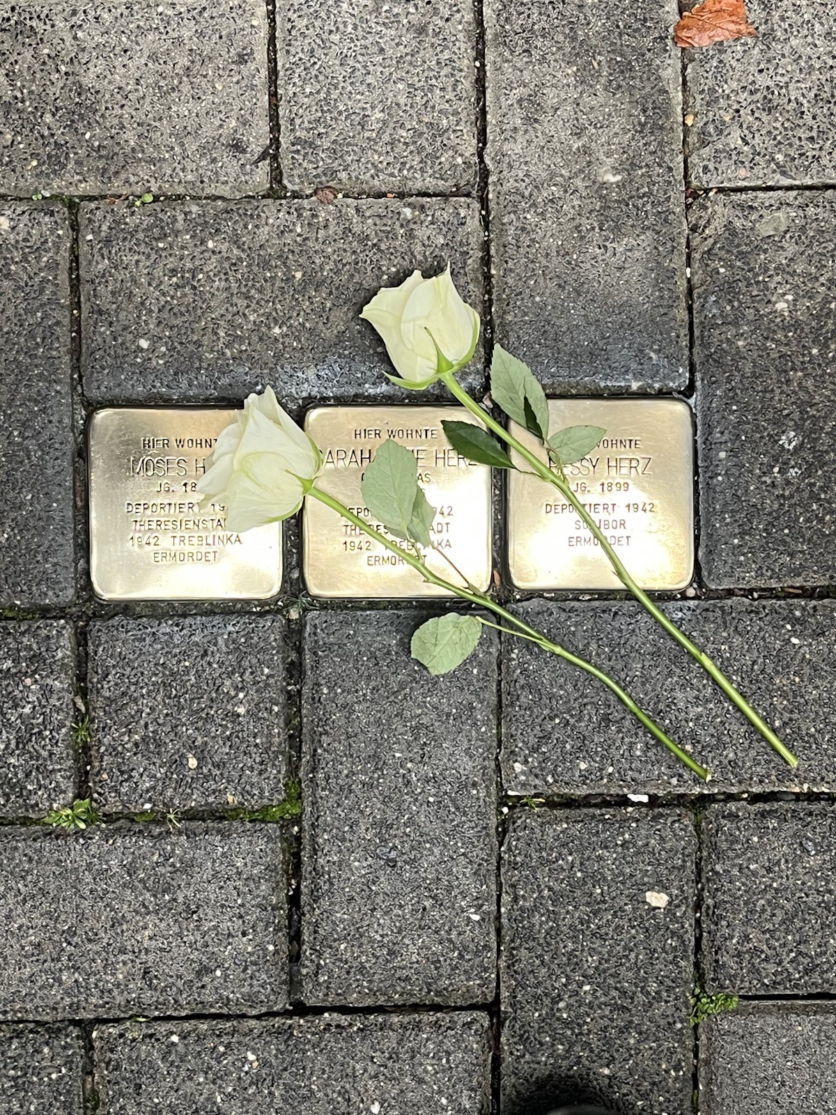 Mehr über den Artikel erfahren Gedenken an die Novemberpogrome