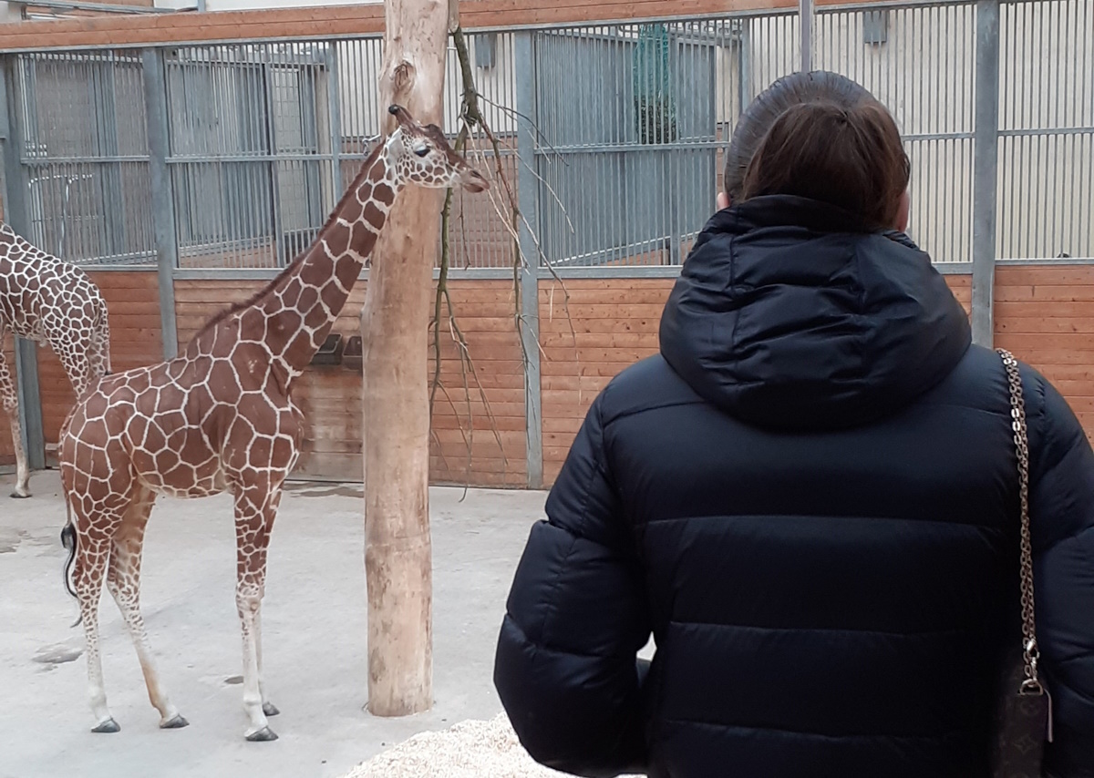 Mehr über den Artikel erfahren Ein Tag im Opel-Zoo: Biologie hautnah erleben